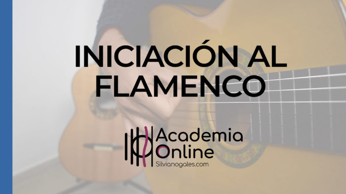 Iniciación al flamenco